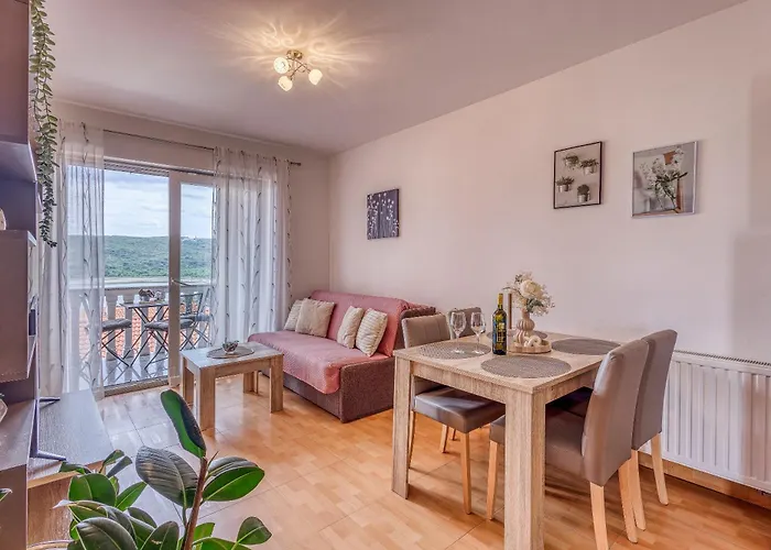 Baran Apartman Cizici